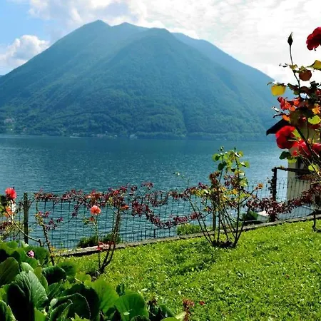 The Comfort - Big In With Garden And Terrace *